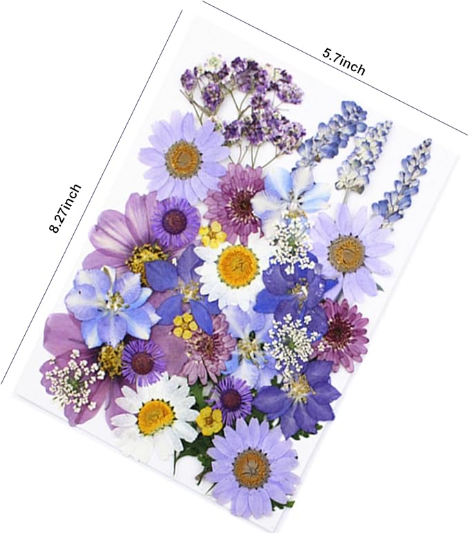 33Pcs Dried Pressed Flowers for Resin DIY Art Crafts Natural Dry Floral Daisy Epoxy Jewelry Real Flower Decor Cakes Bookmarks Phone Cases Candles Handmade Soap