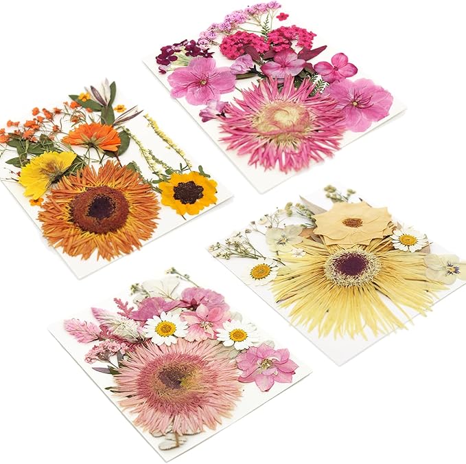 34 Types 60PCS Real Dried Pressed Flowers Leaf Plant Herbarium for DIY Resin Jewelry Making Floral Decors Candle Soap Scrapbook Supplies Card