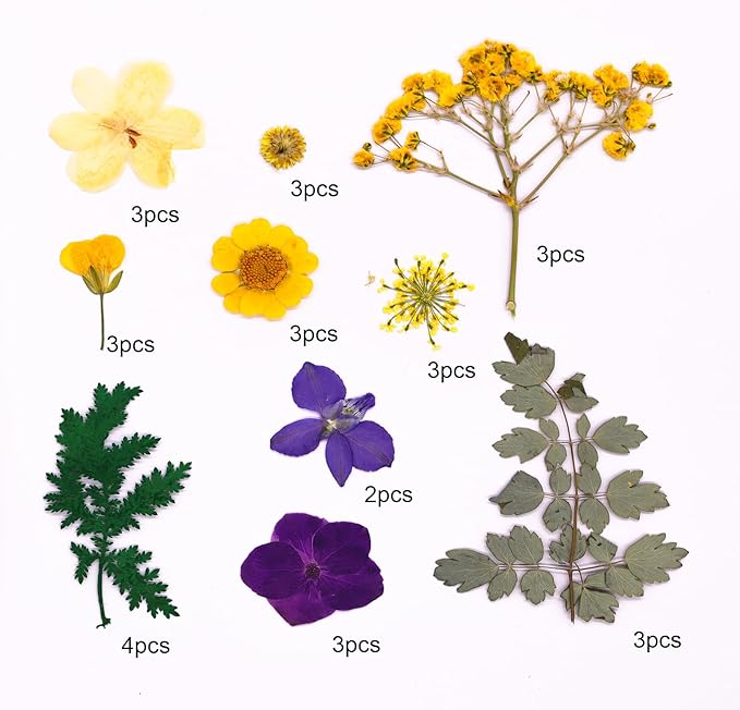 30Pcs Dried Pressed Flowers for Resin DIY Art Crafts Natural Dry Leaves Ferns Daisy Epoxy Jewelry Real Flower Decor Cakes Bookmarks Phone Cases Candles Handmade Soap Yellow&Purple