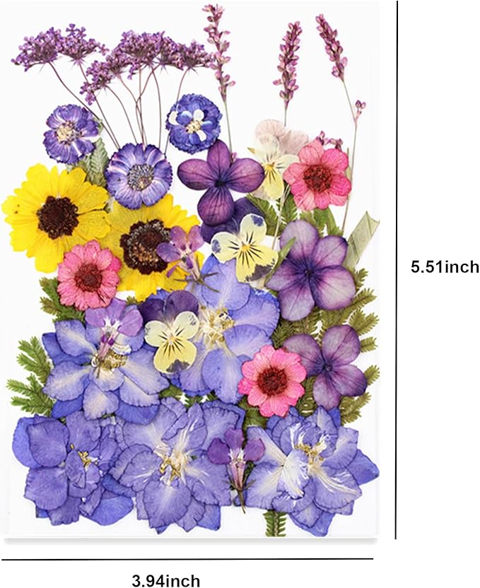 29pcs Dried Pressed Flowers for Crafts Resin DIY Art Natural Dry Floral Pansy Colorful Epoxy Jewelry Real Album Frame Decor Cakes Bookmarks Phone Cases Candles Handmade Soap Papermaking Purple