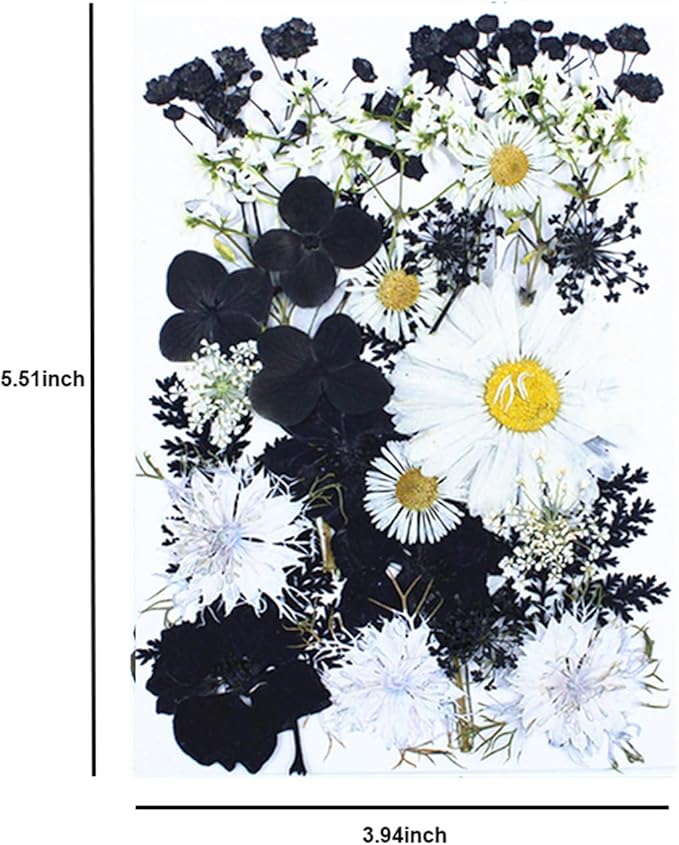 30Pcs Dried Pressed Flowers for Resin DIY Art Crafts Natural Dry Floral Daisy Epoxy Jewelry Real Flower Painting Decor Cakes Bookmarks Phone Cases Candles Handmade Black&White