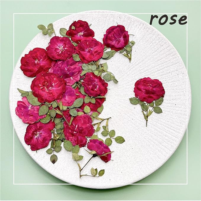 16 Pcs Dried Pressed Flowers, Nauture Pressed Rose, Multi Color Dry Rose, Real Pressed Flora for DIY Jewelry Candle Soap Vase Making Nail Card Scrapbook Art Craft Floral Decors