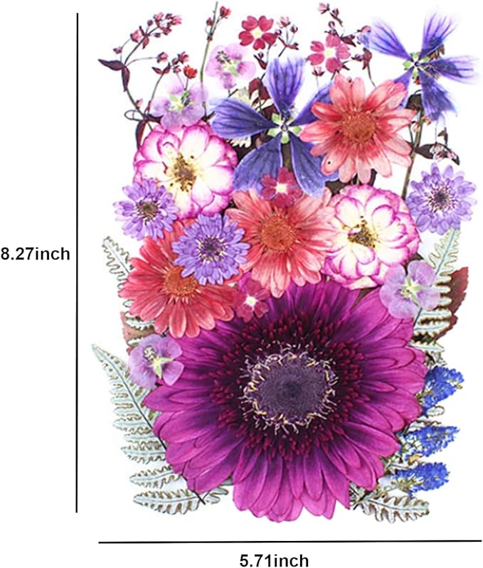 35Pcs Dried Pressed Flowers for Crafts Resin DIY Art Natural Dry Floral Large Size Daisy Colorful Epoxy Jewelry Real Rose Decor Cakes Bookmarks Phone Cases Candles Handmade Soap Papermaking Purple