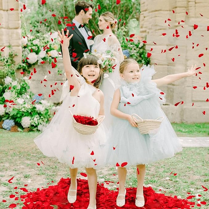 1500Pcs Real Dried Red Hydrangea Flower Petals - Natural small Petals for Wedding, Party Confetti, Valentine's Day, Flower Girl Baskets, Romantic Night, Proposal Decor, Handcrafts (1.06 oz)