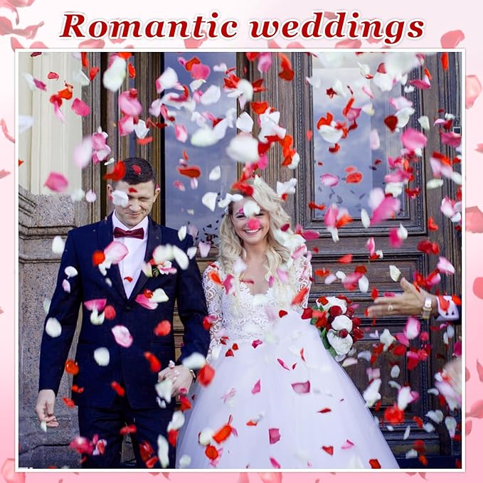 240 PCS Real Pink White Rose Flower Petals Confetti for Wedding Flower Girl to Throw 2.11oz Freeze Dried Rose Petal for Proposal Centerpieces Valentine's Day Romantic Night Decor