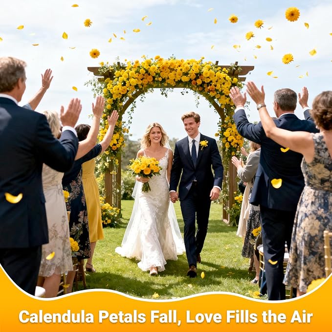 Sukh Dried Calendula Petals - 3 Ounces Natural Calendula Flowers Petal Bulk Herbal Tea, Soap Making, Candle, Bath Bombs, Sachets, Home Decoration