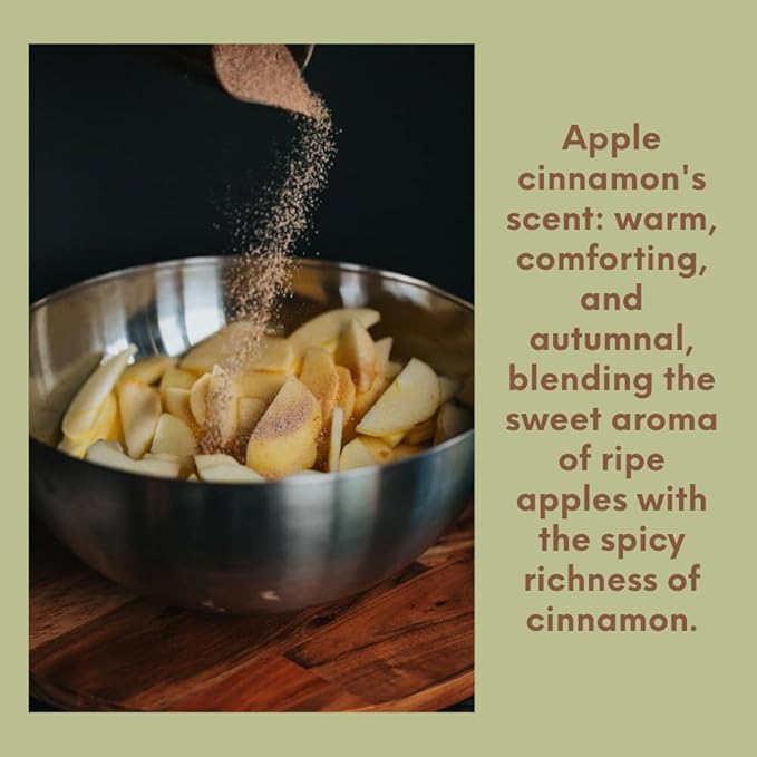 Apple Cinnamon from Our Holiday Collection - Perfect for Adding Aroma to Freshies, Candles, Soaps, and Diffusers - 16 oz