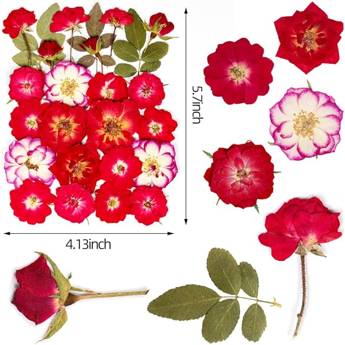 25pcs Dried Pressed Rose for Resin Molds, Real Natural Rose Flowers Leaves Kit, Set for Scrapbook Supplies Card Resin Jewelry Soap Candle DIY Crafts