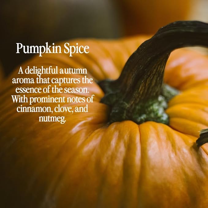 Original Pumpkin Spice Fragrance from Our Holiday Collection - Perfect for Adding Aroma to Freshies, Candles, Soaps, and Diffusers - 16 oz