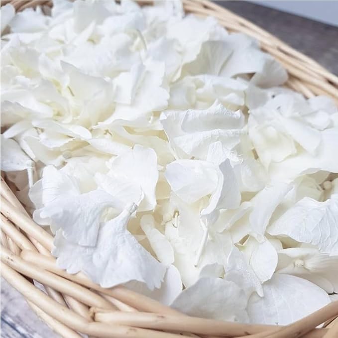 1500Pcs Real Dried Ivory White Hydrangea Flower Petals - Natural smal Petals for Wedding, Party Confetti, Romantic Night, Proposal Decor, Handcrafts (1.06 oz)