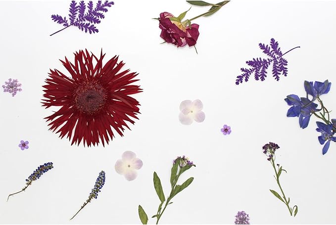 17 Types 30PCS Real Dried Pressed Flowers Bulk Dried Flower for Crafts, Packed DIY Natural Dried Pressed Flowers for Resin Mold Scrapbooking DIY