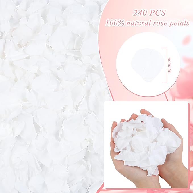 240 PCS Real Dried White Rose Flower Petals Confetti 2.11oz Freeze Preserved Flower Petals for Wedding Party Decor Proposal Centerpieces Valentine's Day Romantic Night Decor