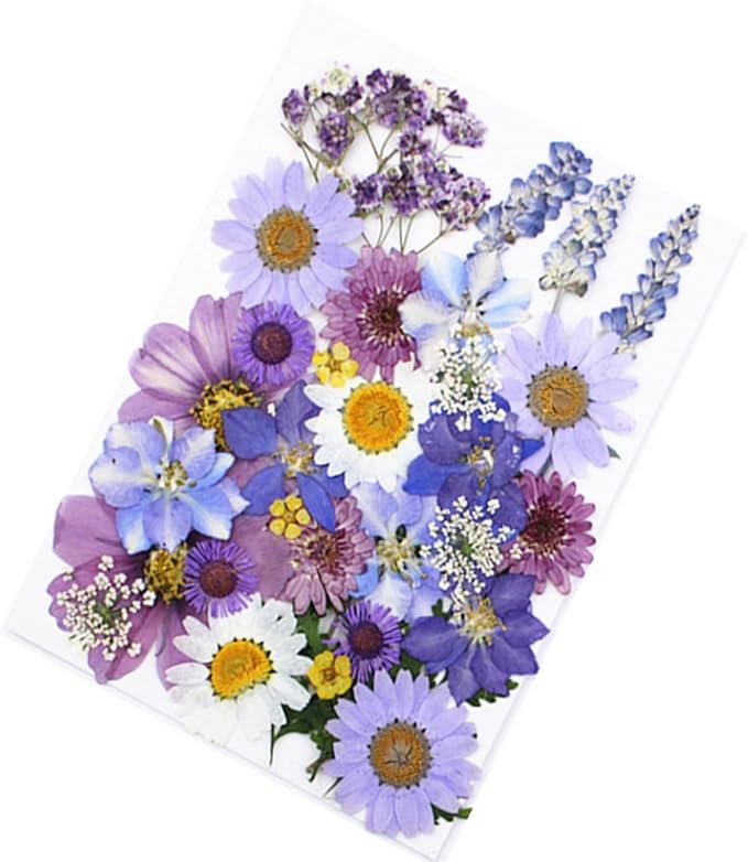 33Pcs Dried Pressed Flowers for Resin DIY Art Crafts Natural Dry Floral Daisy Epoxy Jewelry Real Flower Decor Cakes Bookmarks Phone Cases Candles Handmade Soap