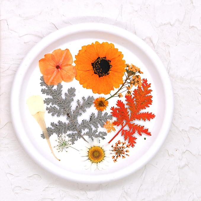 30Pcs Dried Pressed Flowers for Resin DIY Art Crafts Natural Dry Leaves Ferns Daisy Epoxy Jewelry Real Flower Decor Cakes Bookmarks Phone Cases Candles Handmade Soap Orange