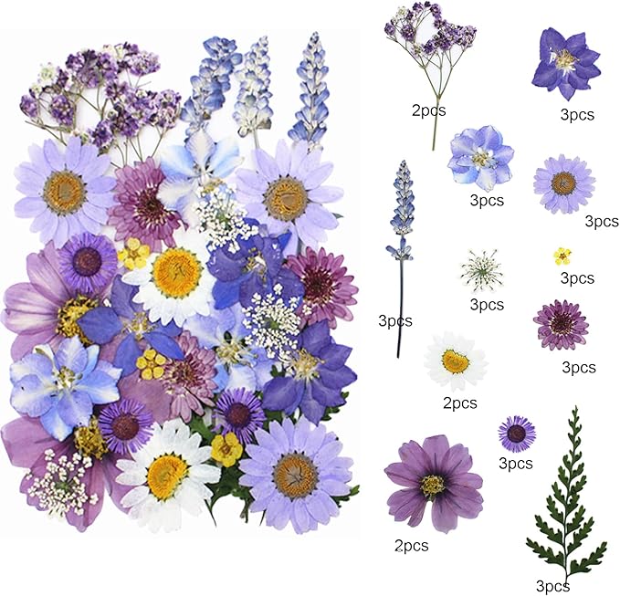 33Pcs Dried Pressed Flowers for Resin DIY Art Crafts Natural Dry Floral Daisy Epoxy Jewelry Real Flower Decor Cakes Bookmarks Phone Cases Candles Handmade Soap