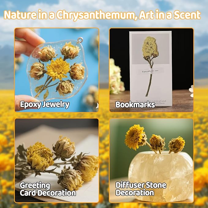 Sukh Dried Fetus Chrysanthemum - Natural Dried Flowers and Herbs Kit 3oz Bulk Bath Petals for Bar Soap,Candle,Bath Bomb Making,DIY Essential Oil Perfume