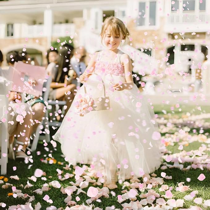 1500Pcs Real Hydrangea Pink Dried Flower Petals - 1.06 oz Natural Dried Pink Petals for Romantic Night, Her Set, Proposal Decor, Flower Girl Basket (30g)