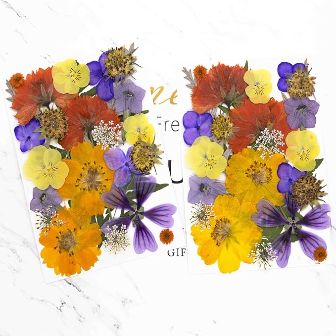 25Pcs Dried Pressed Flowers for Resin DIY Art Crafts Natural Dry Leaves Ferns Daisy Epoxy Jewelry Real Flower Decor Cakes Bookmarks Phone Cases Candles Handmade Soap Orange&Purple