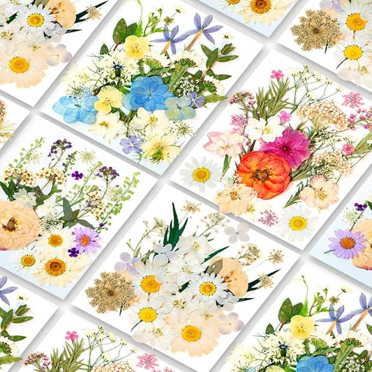 105Pcs Subtle Colors Flowers for Resin Model, Real Pressed Flowers Dry Leaves Bulk Natural Herbs Kit for Scrapbooking DIY Art Crafts, Epoxy Jewelry, Candle, Soap Making, Nails Decor