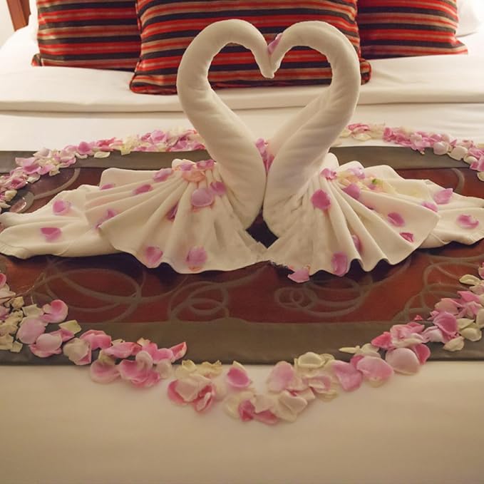 240 PCS Real Pink White Rose Flower Petals Confetti for Wedding Flower Girl to Throw 2.11oz Freeze Dried Rose Petal for Proposal Centerpieces Valentine's Day Romantic Night Decor