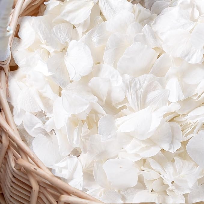 3000+Pcs Real Ivory White Dried Hydrangea Flower Petals - 100% Natural Creamy White Flower Petals for Wedding Confetti, Romantic Night Decor, DIY Handcrafts (2.12oz)