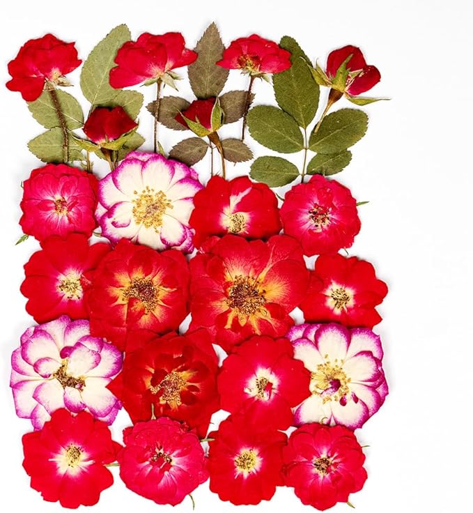 25pcs Dried Pressed Rose for Resin Molds, Real Natural Rose Flowers Leaves Kit, Set for Scrapbook Supplies Card Resin Jewelry Soap Candle DIY Crafts