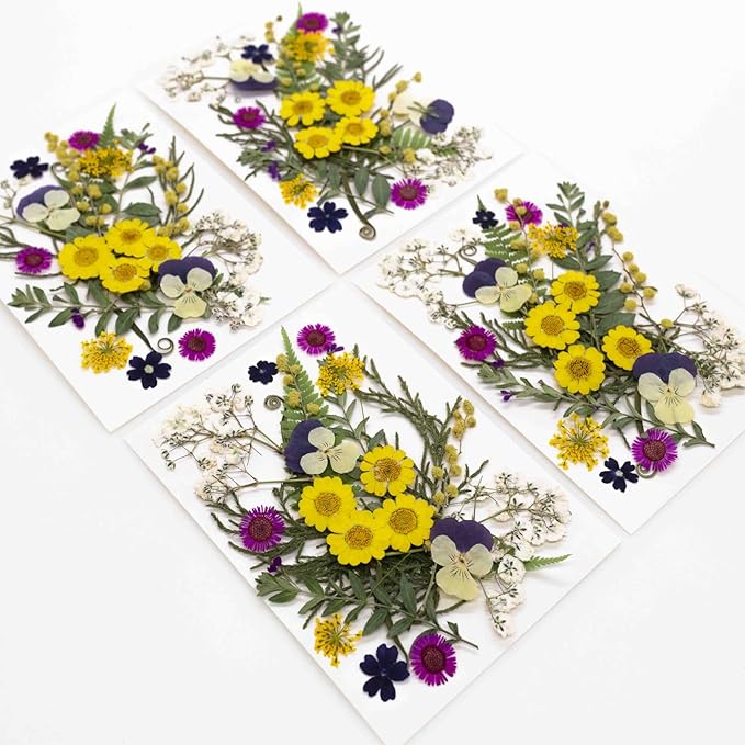 25Pcs Dried Pressed Flowers for Resin DIY Art Crafts Natural Dry Leaves Ferns Daisy Epoxy Jewelry Real Flower Decor Cakes Bookmarks Phone Cases Candles Handmade Soap Yellow Crystal