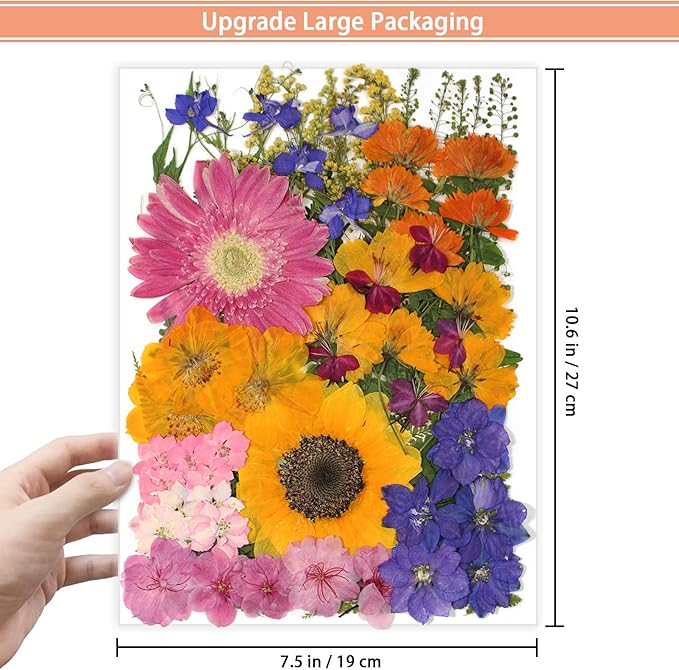 18 Types 75 Pcs Dried Pressed Leaves Flowers Real Natural Dried Plant for DIY Art Crafts, Candle Soap Making, Jewelry, Card Decorations, Phone Case