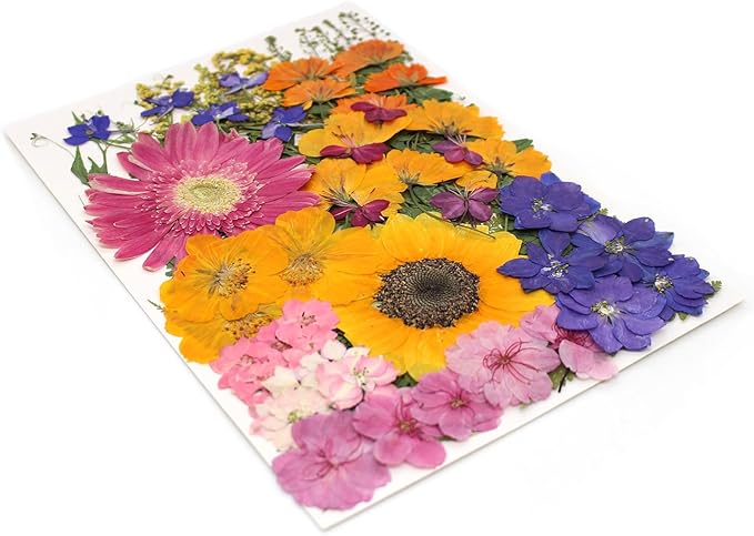 18 Types 75 Pcs Dried Pressed Leaves Flowers Real Natural Dried Plant for DIY Art Crafts, Candle Soap Making, Jewelry, Card Decorations, Phone Case
