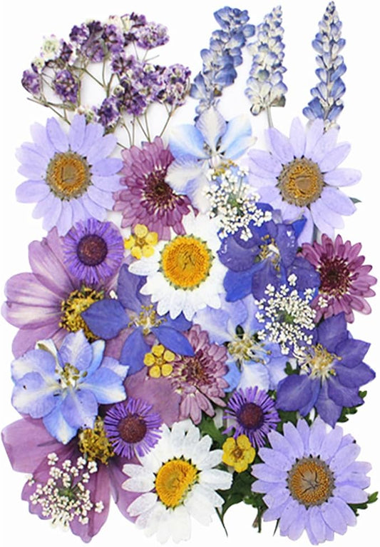 33Pcs Dried Pressed Flowers for Resin DIY Art Crafts Natural Dry Floral Daisy Epoxy Jewelry Real Flower Decor Cakes Bookmarks Phone Cases Candles Handmade Soap