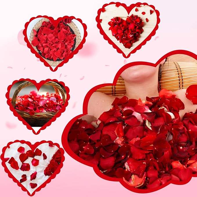 240 PCS Real Red Rose Flower Petals Confetti for Wedding Flower Girl to Throw 2.11oz Freeze Dried Rose Petal for Proposal Centerpieces BabyShower Valentine's Day Romantic Night Decor