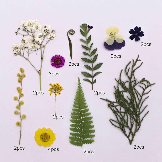 25Pcs Dried Pressed Flowers for Resin DIY Art Crafts Natural Dry Leaves Ferns Daisy Epoxy Jewelry Real Flower Decor Cakes Bookmarks Phone Cases Candles Handmade Soap Yellow Crystal