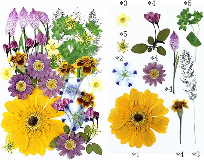 35Pcs Dried Pressed Flowers for Crafts Resin DIY Art Natural Dry Floral Large Size Daisy Colorful Epoxy Jewelry Real Rose Decor Cakes Bookmarks Phone Cases Candles Handmade Soap Papermaking Yellow