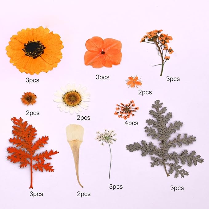 30Pcs Dried Pressed Flowers for Resin DIY Art Crafts Natural Dry Leaves Ferns Daisy Epoxy Jewelry Real Flower Decor Cakes Bookmarks Phone Cases Candles Handmade Soap Orange