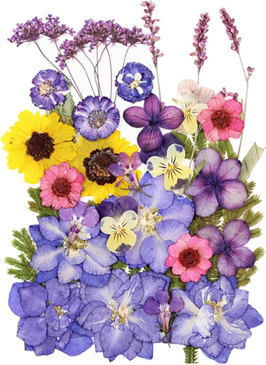 29pcs Dried Pressed Flowers for Crafts Resin DIY Art Natural Dry Floral Pansy Colorful Epoxy Jewelry Real Album Frame Decor Cakes Bookmarks Phone Cases Candles Handmade Soap Papermaking Purple