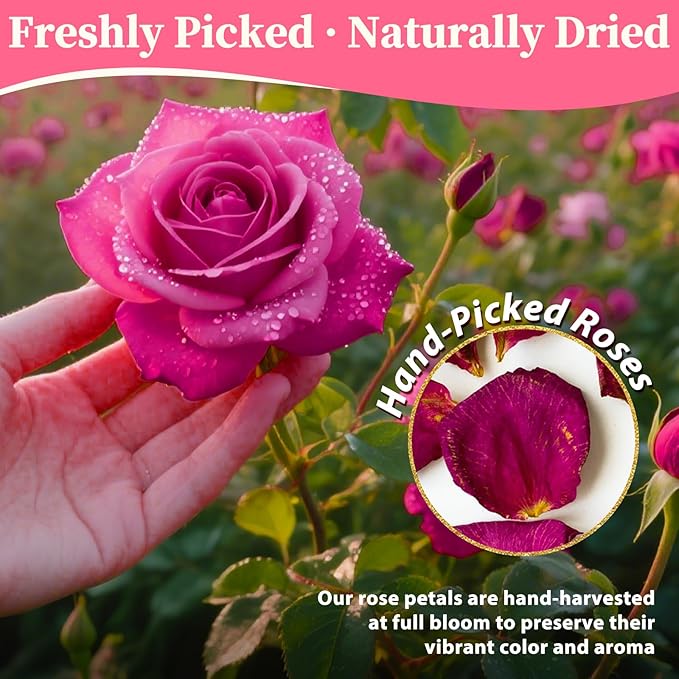 Dried Rose Petals Bulk 5oz – Natural Red Flower Petals for Bath, Candle, Soap Making, Wedding Decor – Real Rose Petals for Romantic DIY Crafts, Confetti, Spa Use, Valentine’s Day Gift