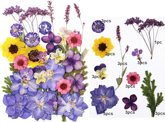 29pcs Dried Pressed Flowers for Crafts Resin DIY Art Natural Dry Floral Pansy Colorful Epoxy Jewelry Real Album Frame Decor Cakes Bookmarks Phone Cases Candles Handmade Soap Papermaking Purple