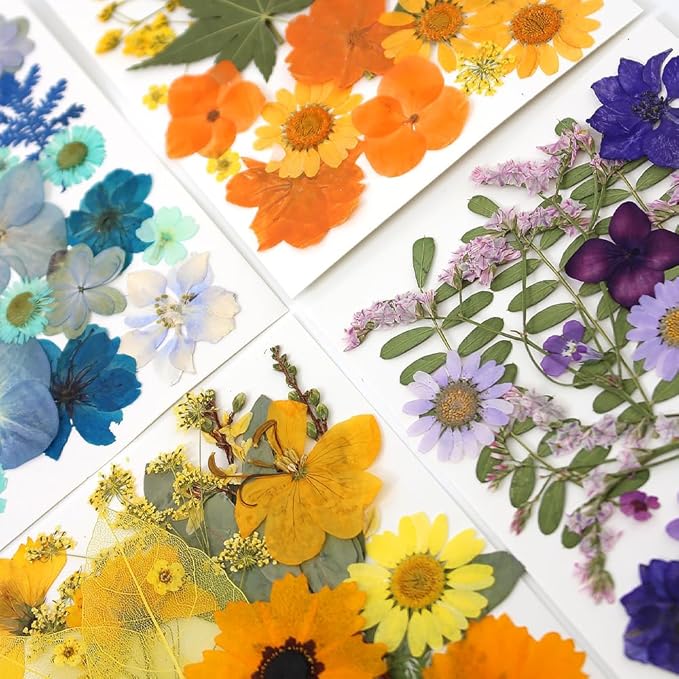 180Pcs Dried Pressed Flowers, Natural Dried Flowers Bulk for Resin, Mixed Color Dried Flowers for DIY Crafts, Candle Holders, Nails, Epoxy Resin Jewelry, Floral DIY Art, Decor, DIY Supplies Kits