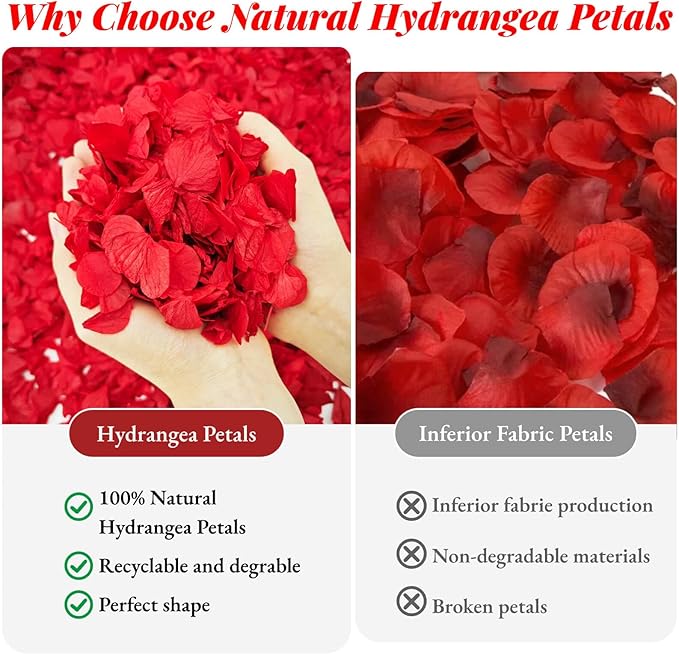 1500Pcs Real Dried Red Hydrangea Flower Petals - Natural small Petals for Wedding, Party Confetti, Valentine's Day, Flower Girl Baskets, Romantic Night, Proposal Decor, Handcrafts (1.06 oz)