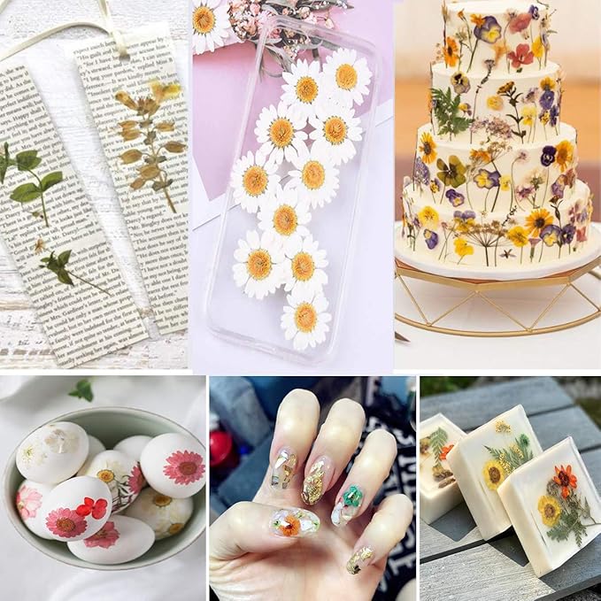 140PCS White Dried Pressed Flowers with Butterfly Stickers - YouthBro Real Nature Flowers Craft Set for Resin DIY Jewelry Candle Soap Vase Making Nail Card Scrapbook Art Floral Decors