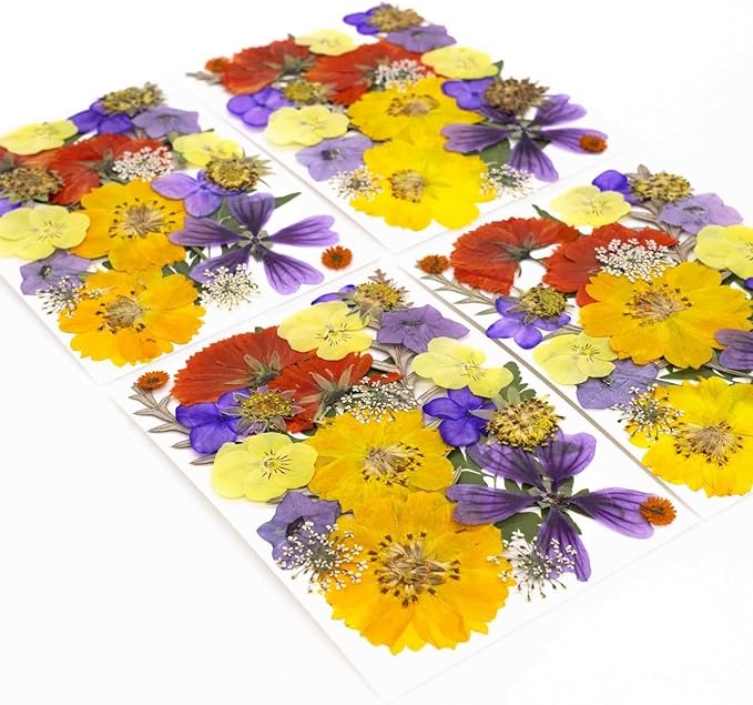25Pcs Dried Pressed Flowers for Resin DIY Art Crafts Natural Dry Leaves Ferns Daisy Epoxy Jewelry Real Flower Decor Cakes Bookmarks Phone Cases Candles Handmade Soap Orange&Purple