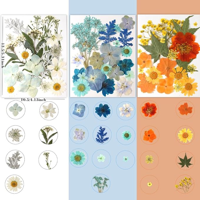 180Pcs Dried Pressed Flowers, Natural Dried Flowers Bulk for Resin, Mixed Color Dried Flowers for DIY Crafts, Candle Holders, Nails, Epoxy Resin Jewelry, Floral DIY Art, Decor, DIY Supplies Kits