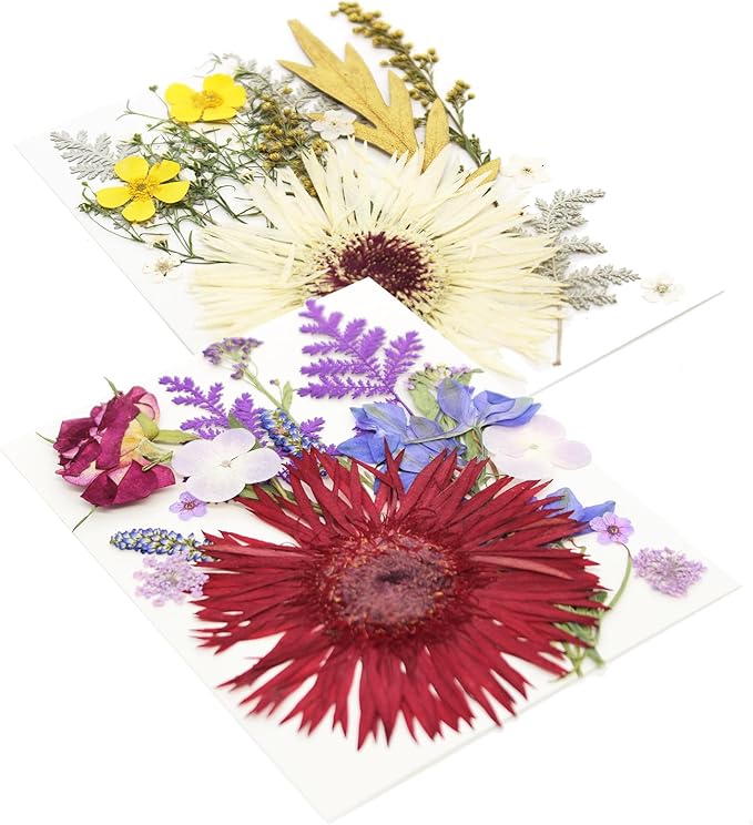 17 Types 30PCS Real Dried Pressed Flowers Bulk Dried Flower for Crafts, Packed DIY Natural Dried Pressed Flowers for Resin Mold Scrapbooking DIY