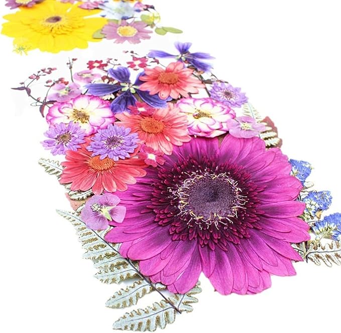35Pcs Dried Pressed Flowers for Crafts Resin DIY Art Natural Dry Floral Large Size Daisy Colorful Epoxy Jewelry Real Rose Decor Cakes Bookmarks Phone Cases Candles Handmade Soap Papermaking Purple