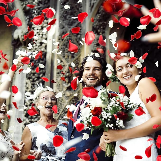 240 PCS Real Dried Red White Rose Flower Petals Confetti 2.11oz Freeze Preserved Flower Petals for Wedding Party Decor Proposal Centerpieces Valentine's Day Romantic Night Decor