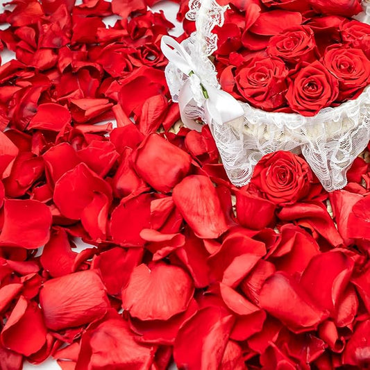 340 PCS Real Red Rose Petals, 3.17oz Dried Flower Confetti Petals for Wedding Flower Girl to Throw at Wedding Party, Romantic Night Bridal Shower Valentine's Day Decor
