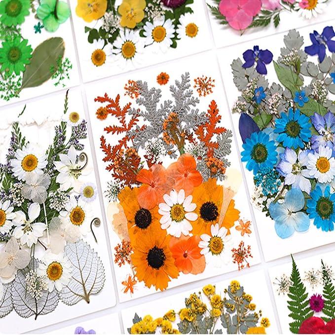 30Pcs Dried Pressed Flowers for Resin DIY Art Crafts Natural Dry Leaves Ferns Daisy Epoxy Jewelry Real Flower Decor Cakes Bookmarks Phone Cases Candles Handmade Soap Orange