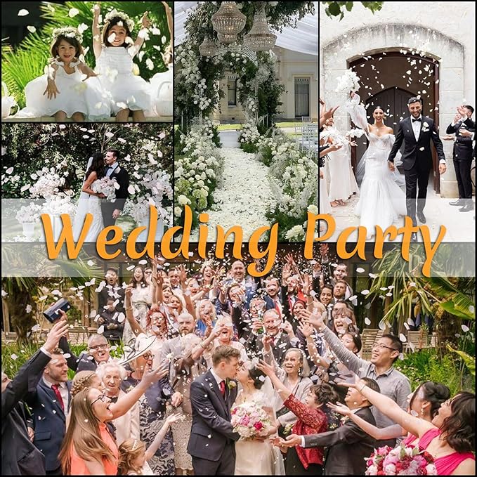 300 PCS Real White Rose Petals for Wedding, 2.82oz Fresh Rose Petals for Flower Girl to Throw, Flower Petal for Romantic Night Table Shower Party Decor