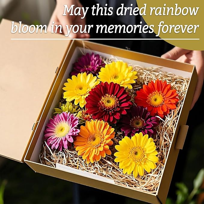 Sukh Dried Colorful Chrysanthemum - Natural Dried Flowers Herbs 3oz Bulk Daisy Flowers Heads Rainbow Color for Soap Making,Candle,Bath Bombs,DIY Beauty,Sachets and Wedding Decoration