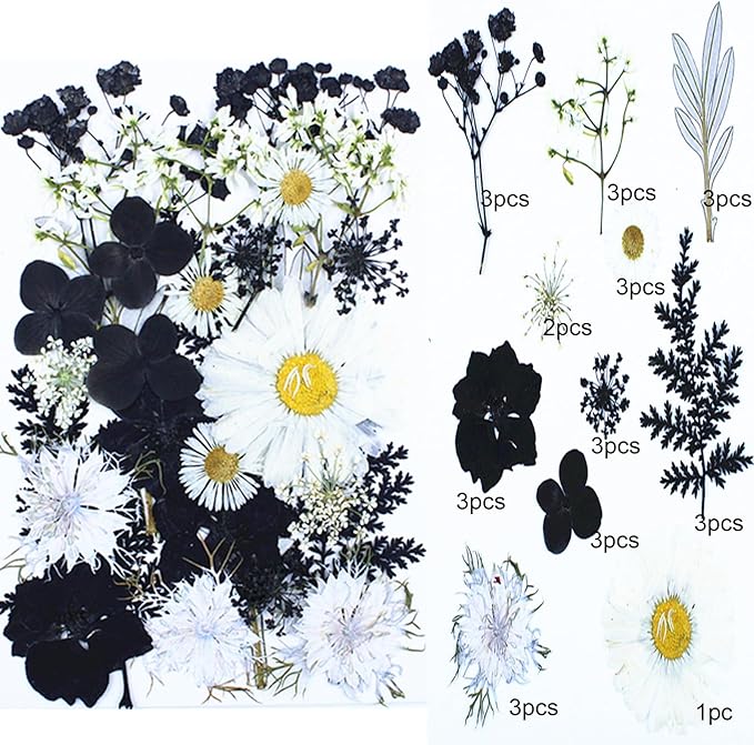 30Pcs Dried Pressed Flowers for Resin DIY Art Crafts Natural Dry Floral Daisy Epoxy Jewelry Real Flower Painting Decor Cakes Bookmarks Phone Cases Candles Handmade Black&White